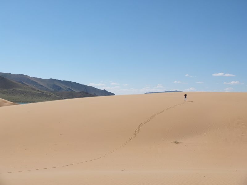 Remote Sensing for Rangeland Health